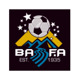 纳西努FC